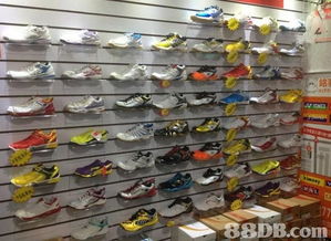 2020最新201個(gè)運(yùn)動(dòng)用品價(jià)格及商戶聯(lián)絡(luò)資訊